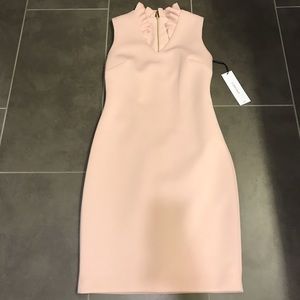 Ruffled-Collar Scuba Sheath Dress- Blush Pink